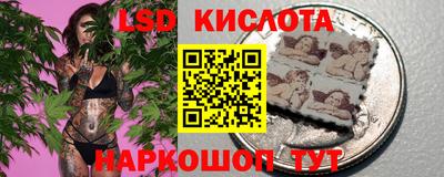 индика Обнинск