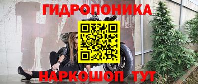 прущие грибы Нягань