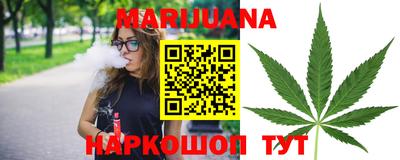 индика Обнинск