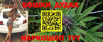 индика Обнинск