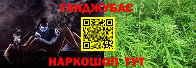 индика Обнинск