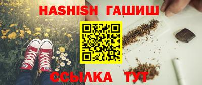 индика Обнинск