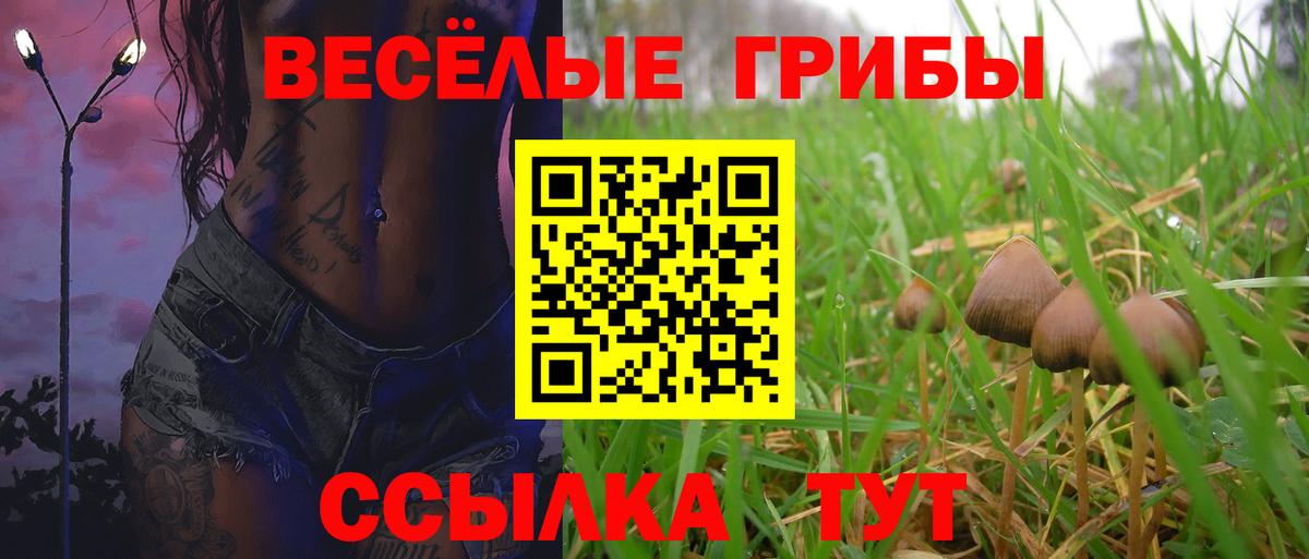 Ржев  Галлюциногенные грибы прущие грибы  Вход с VPN 