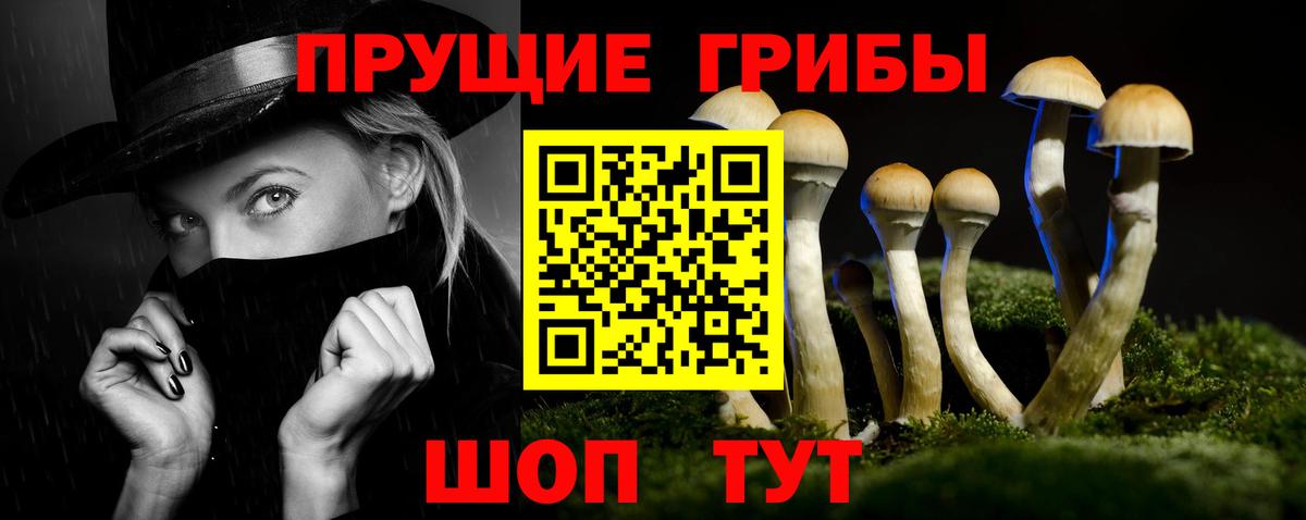 Галлюциногенные грибы Psilocybine cubensis Ржев